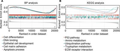 A novel hypoxia-driven gene signature that can predict the prognosis and drug resistance of gliomas